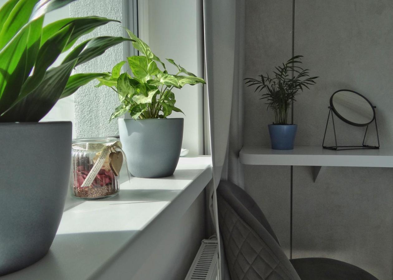 Top Urban Apartment - Free Parking, Green Energy, Modern Style Bratislava Exterior foto